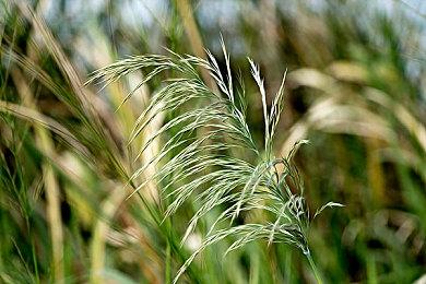 索尼将日本工作室从其工作室阵容列表中移除